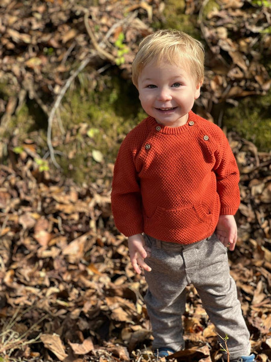 Morrison Baby Sweater in Rust