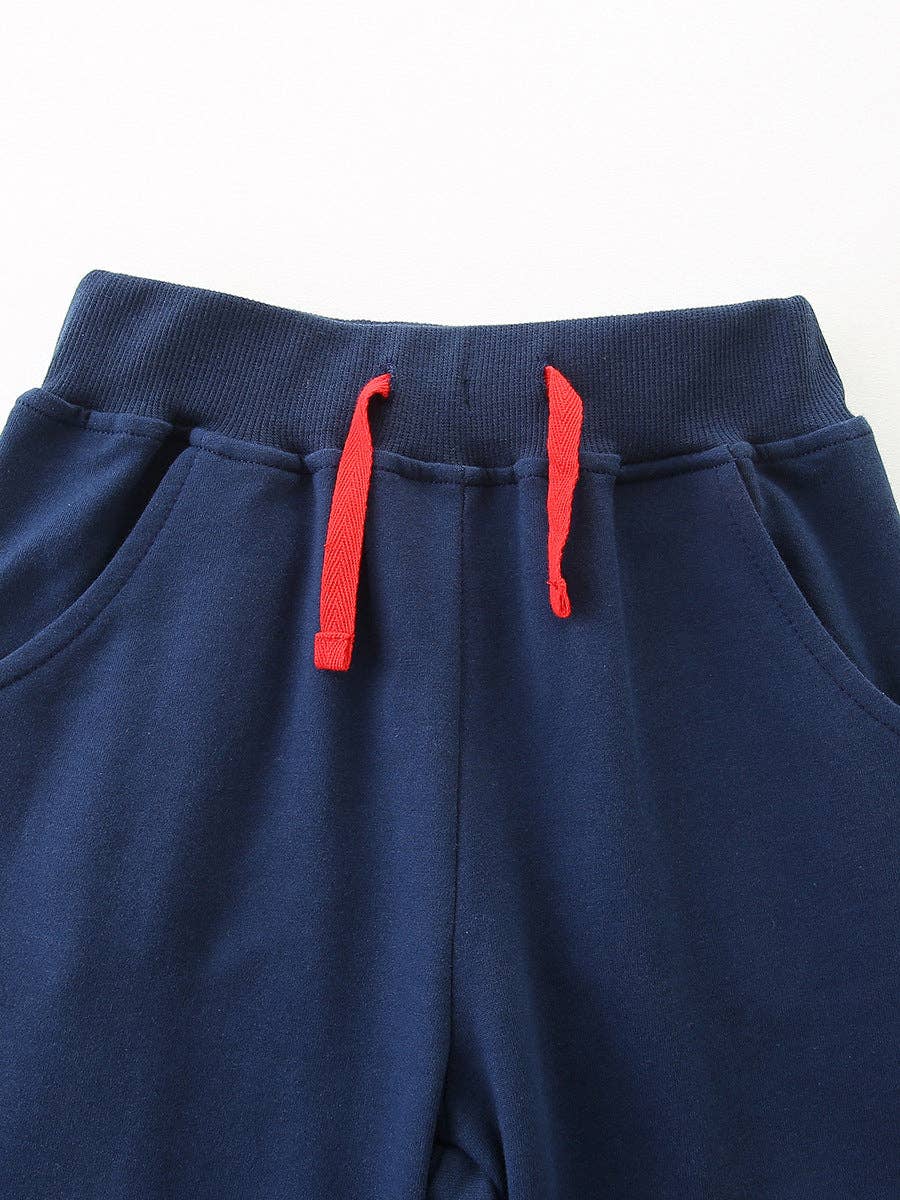 Navy Aircraft Embroidered Jogger