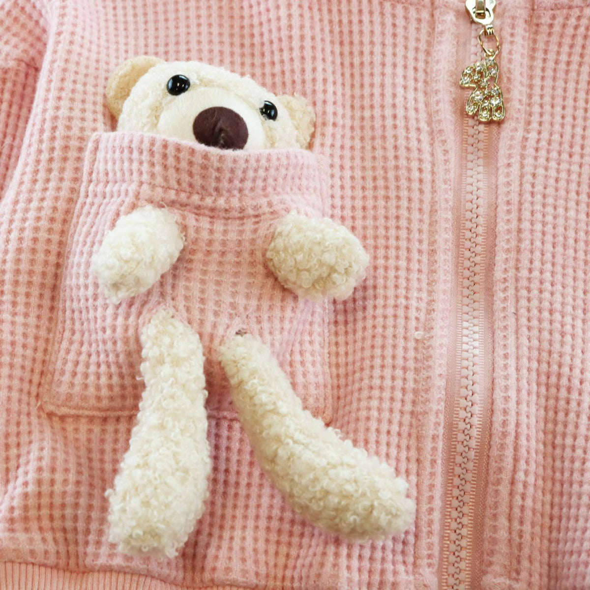 Pink Teddy Hoodie + Jogger Set