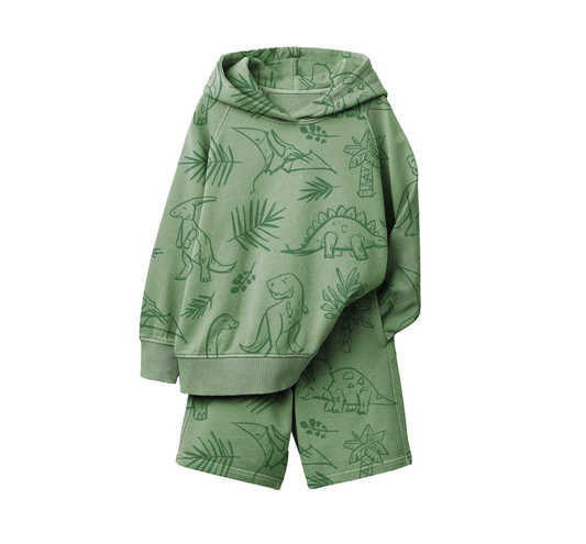 Green Dino Hoodie + Short Set