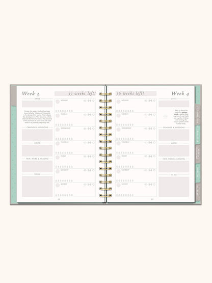 Countdown to Baby Pregnancy Journal