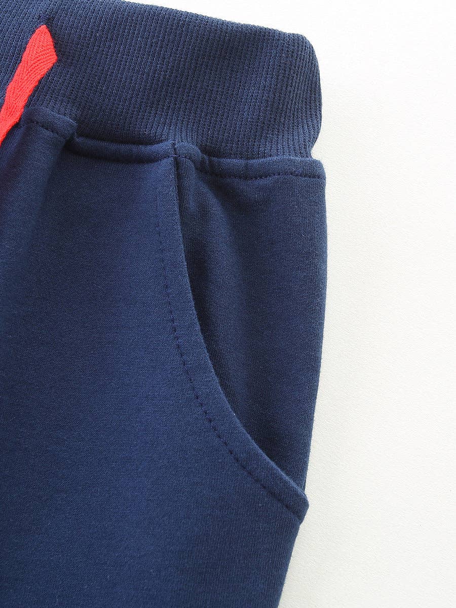 Navy Aircraft Embroidered Jogger