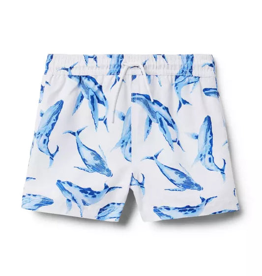 Janie and Jack Recycled Whale Swim Trunk